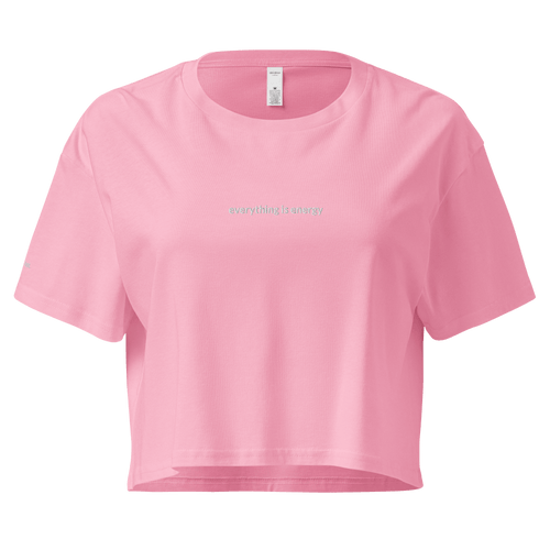 Everything is Energy Crop Tee - White Embroidered Mantra