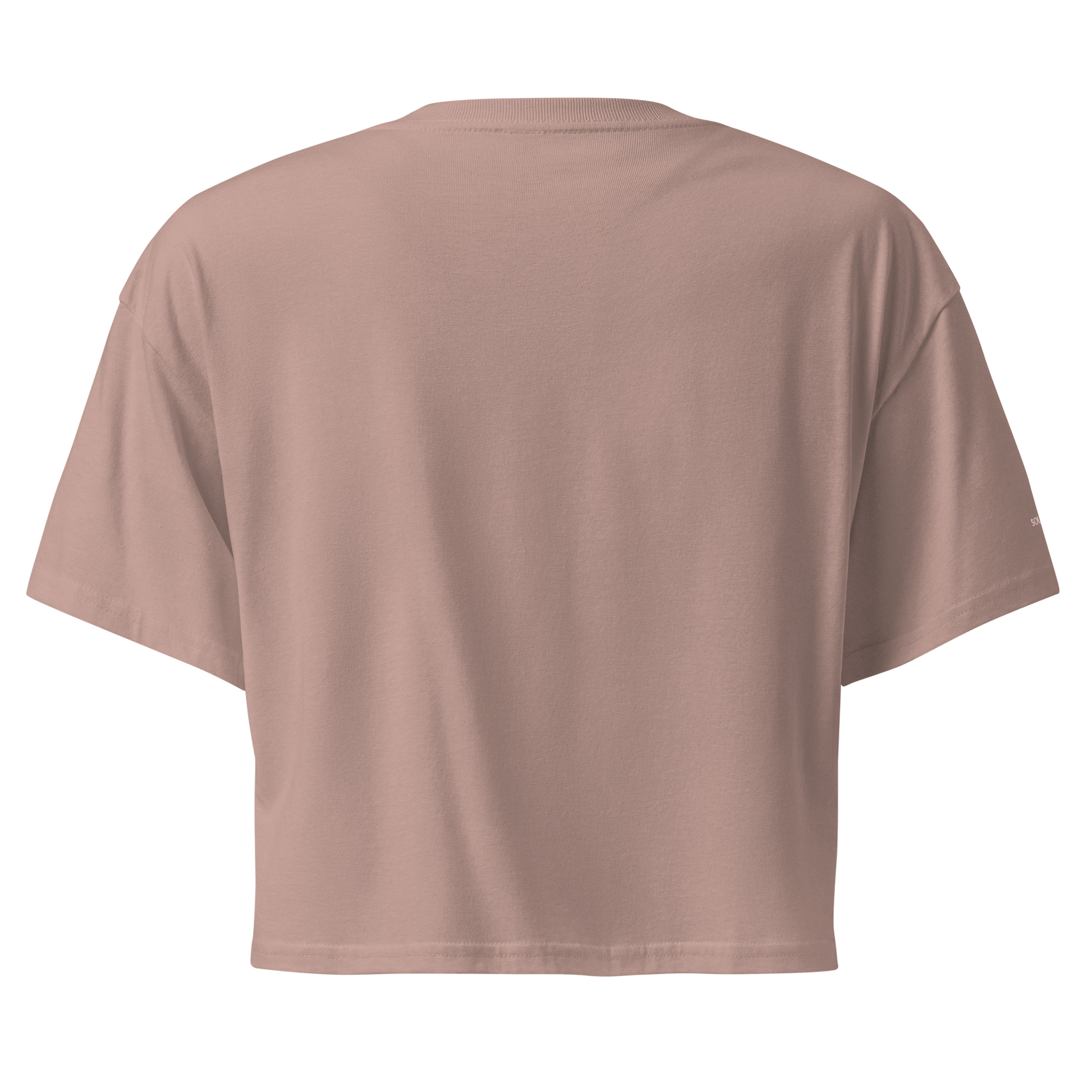 Everything is Energy Crop Tee - White Embroidered Mantra