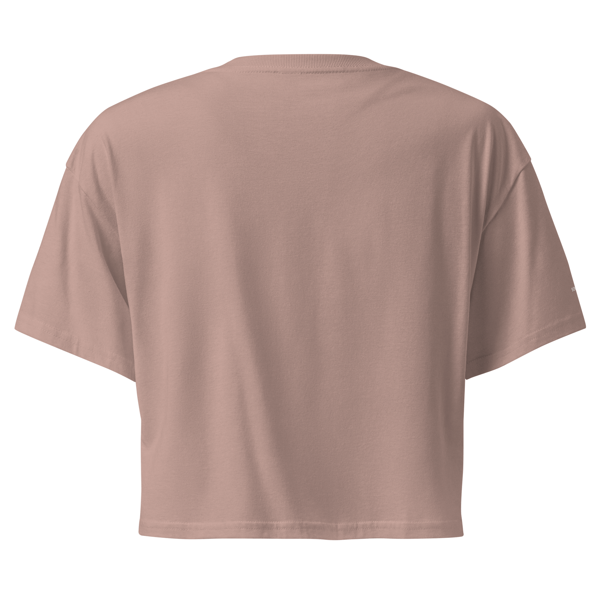 Pleasure is Power Crop Tee - White Embroidered Mantra