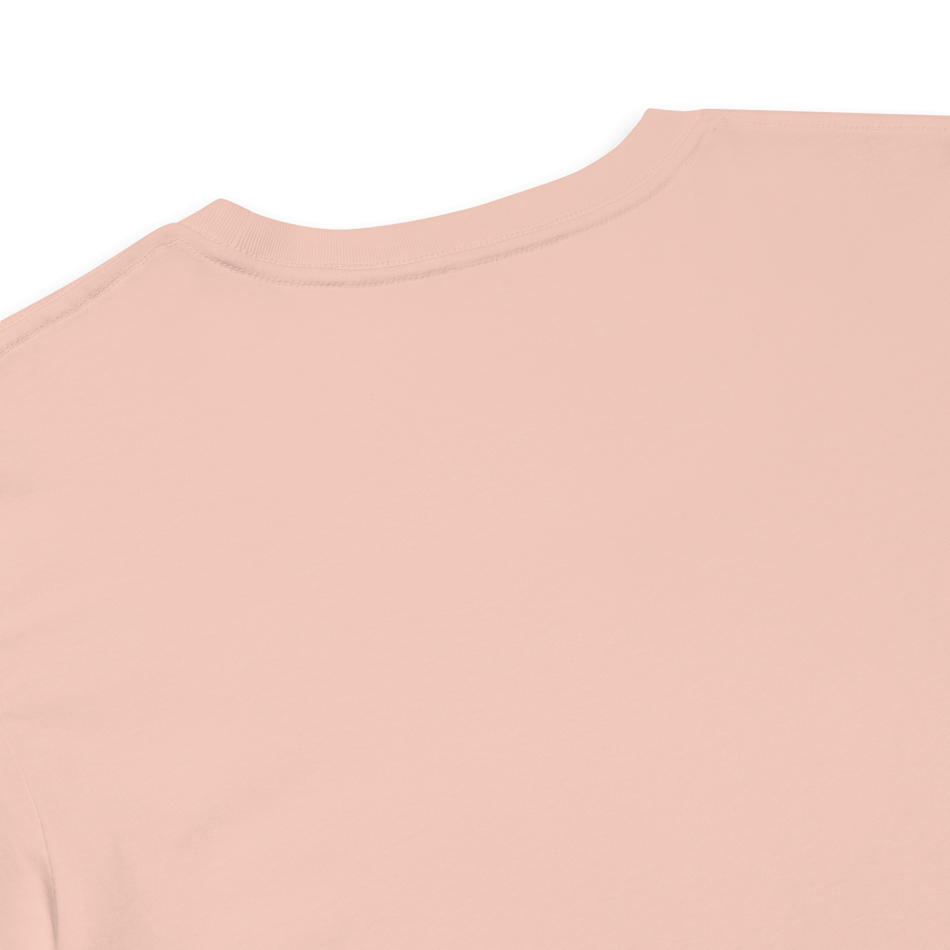 Pleasure is Power Crop Tee - White Embroidered Mantra